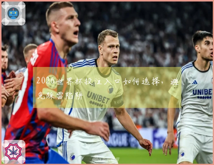 2026世界杯投注入口如何选择，避免踩雷陷阱