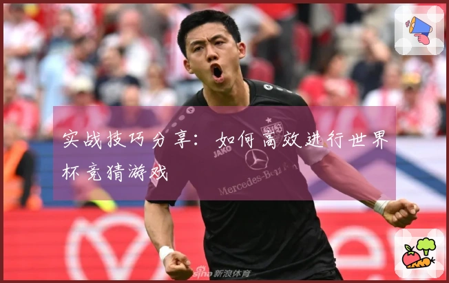 实战技巧分享：如何高效进行世界杯竞猜游戏