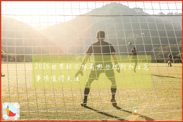 2026世界杯买球有哪些规则和注意事项值得关注