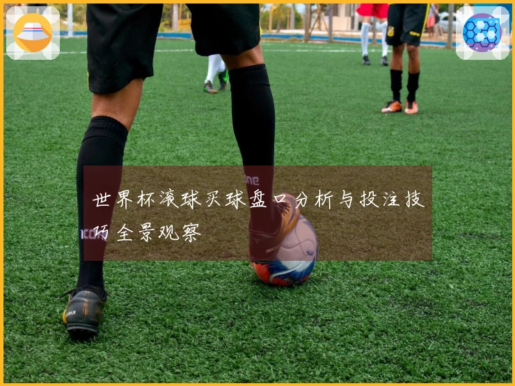 世界杯滚球买球盘口分析与投注技巧全景观察